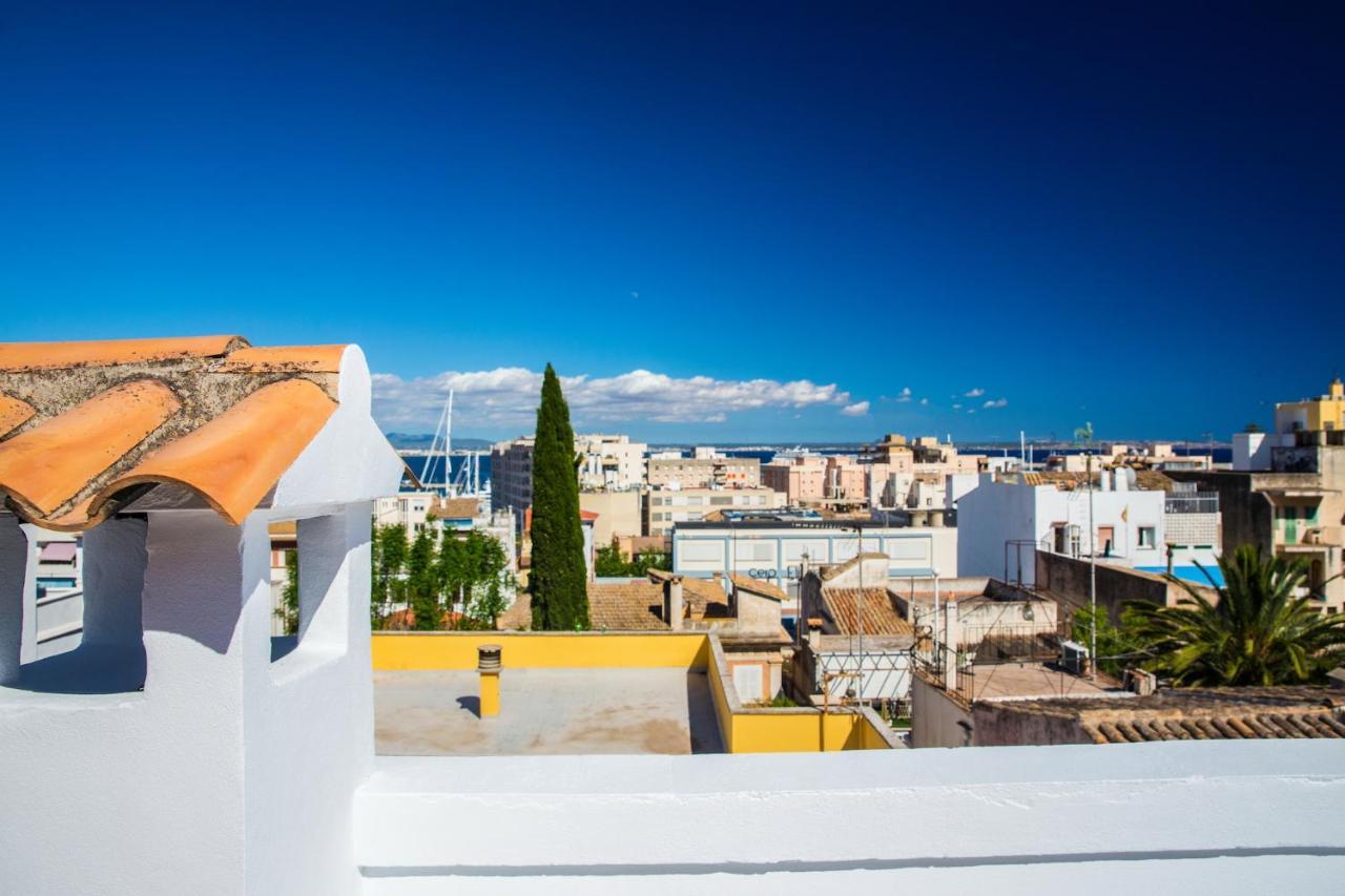 Villa Oasis Terra Blanca Palma de Mallorca Exteriör bild